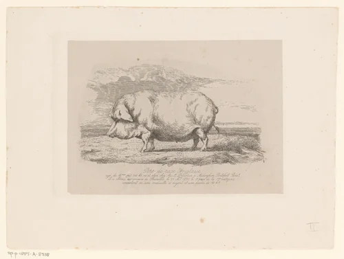 Staand varken by Edmond Tschaggeny, print, 1850-1873