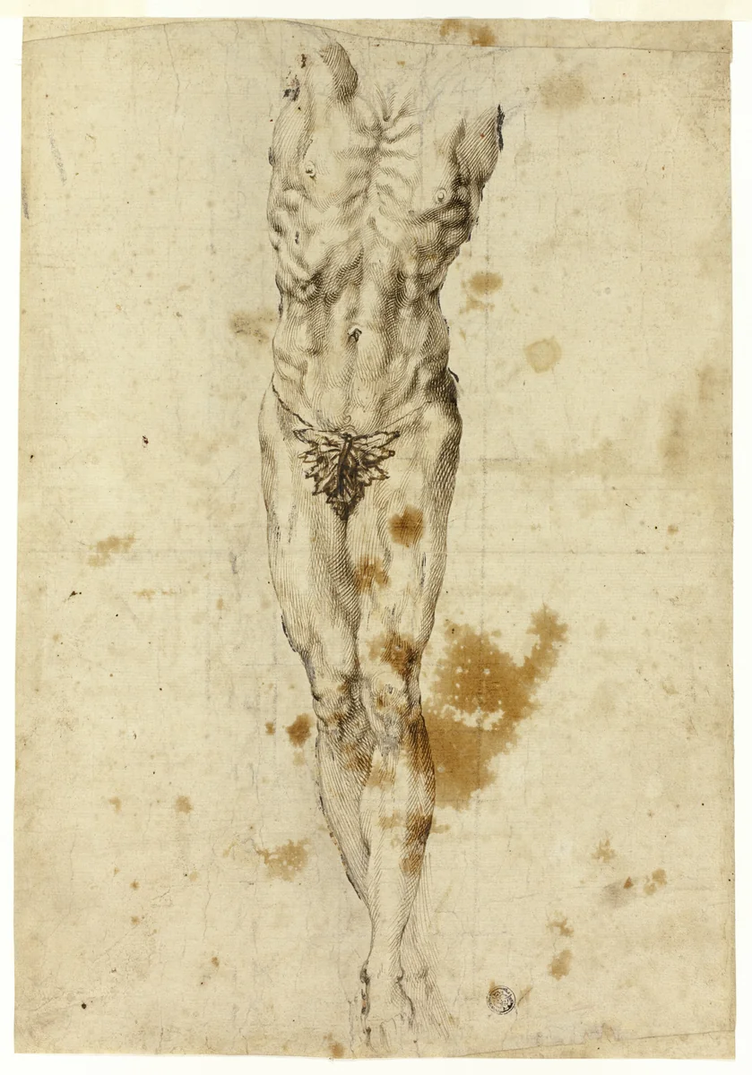 Crucified Christ or Marsyas by Michelangelo Buonarroti, drawing, 1585-1595