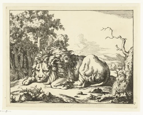 Slapende leeuw by Marcus de Bye, print, 1664
