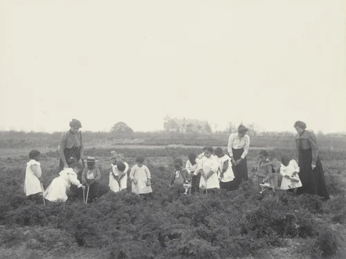 Kindergarten children in their garden by Frances Benjamin Johnston, photograph, 1899