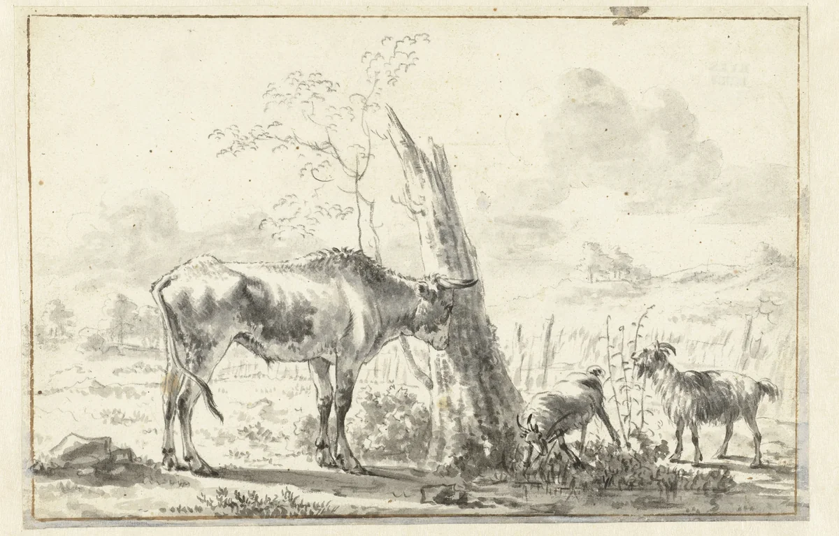 Koe en twee geiten bij een afgebroken boom by anonymous, drawing, 1600-1800