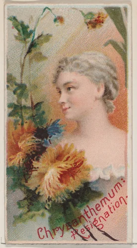 Chrysanthemum: Resignation, from the series Floral Beauties and Language of Flowers (N75) for Duke brand cigarettes by American Tobacco Company, print, 1892
