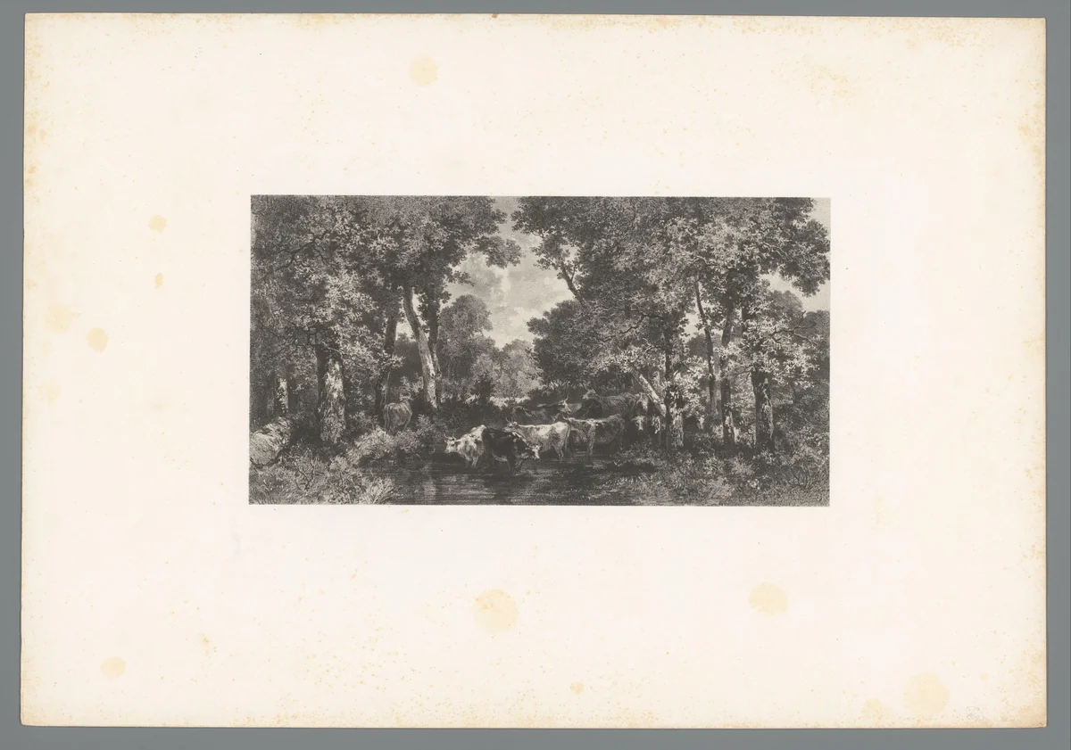 Koeien bij een waterplas in een bos by Adolphe Mouilleron, print, 1846-1853
