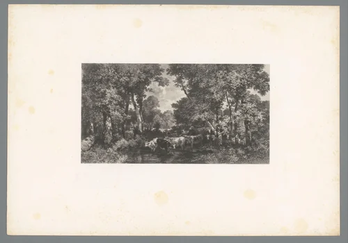 Koeien bij een waterplas in een bos by Adolphe Mouilleron, print, 1846-1853