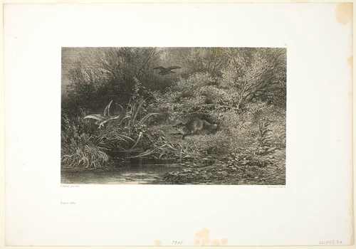 Fox on the Prowl by Karl Bodmer, print, 1840-1849