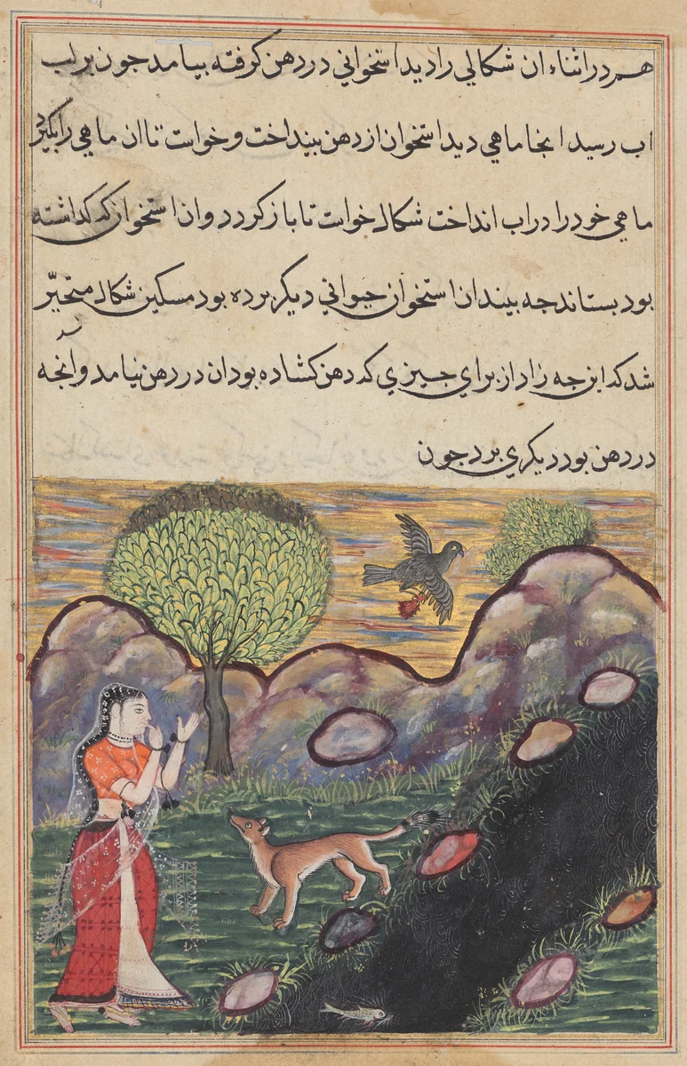 The daughter-in-law of the king of Banaras sees the jackal deprived of its food by a bird, as it unsuccessfully attempts to catch a fish, from a Tuti-nama (Tales of a Parrot): Sixteenth Night by Unknown, painting, 1555-1565
