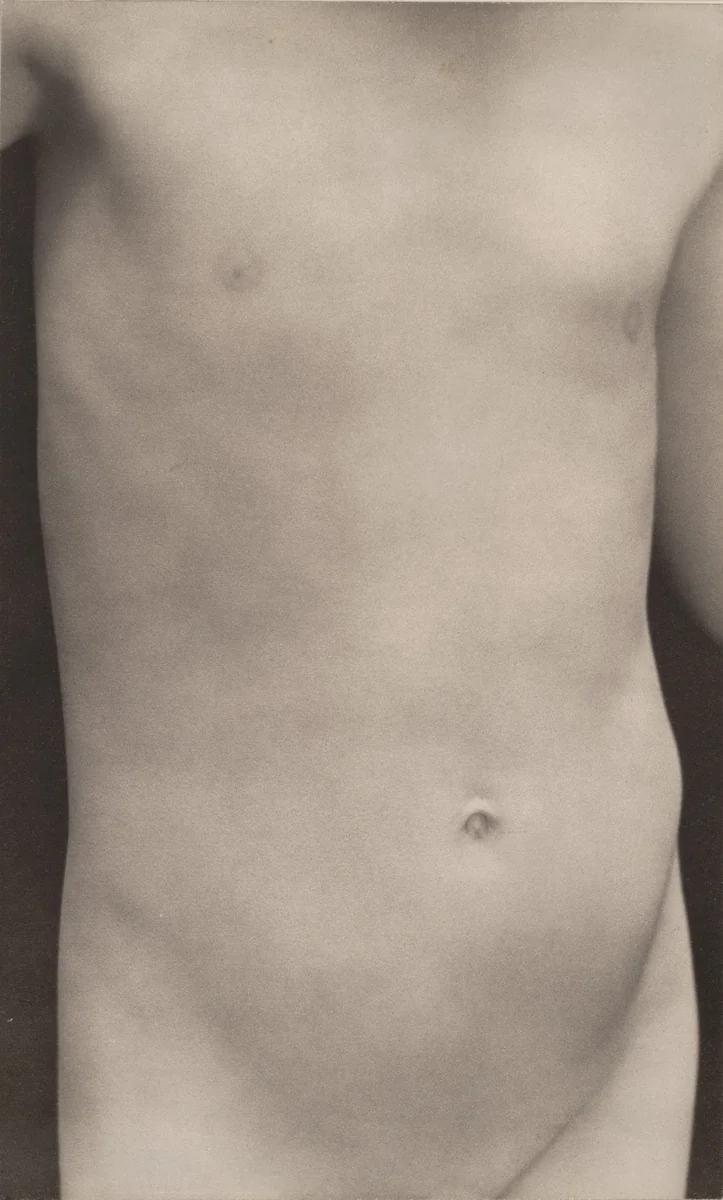 Torso of Neil by Edward Weston, photograph, 1925