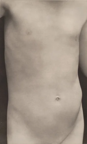 Torso of Neil by Edward Weston, photograph, 1925