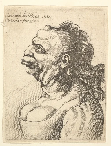 Bust of a woman wearing low-cut dress, with protruding lipd, growth on her forehead, prominent breast, long flowing hair down her back, in profile to left. by Wenceslaus Hollar, print, 1660