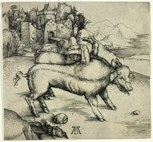 The Monstrous Sow of Landser by Albrecht Dürer, print, 1496
