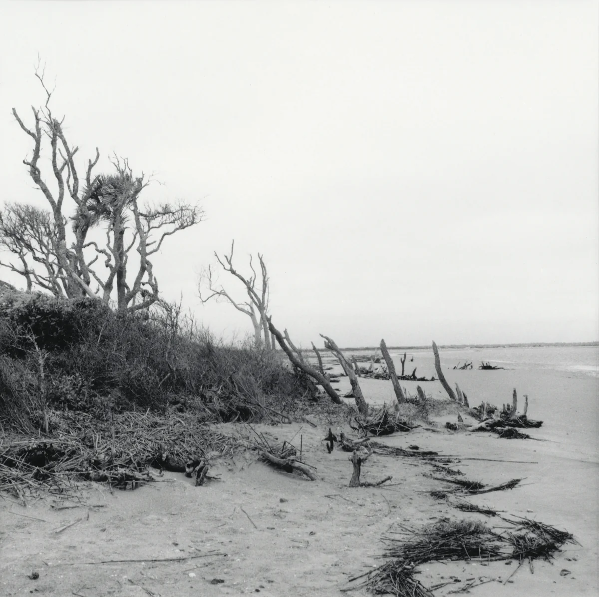Folly Beach, South Carolina, 1999 by William Earle Williams, photograph, 1999