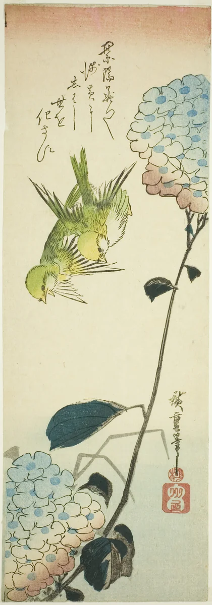 Green birds and hydrangeas by Utagawa Hiroshige (歌川広重), print, 1830-1839