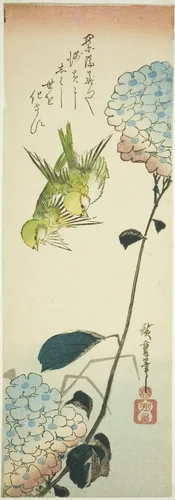 Green birds and hydrangeas by Utagawa Hiroshige (歌川広重), print, 1830-1839