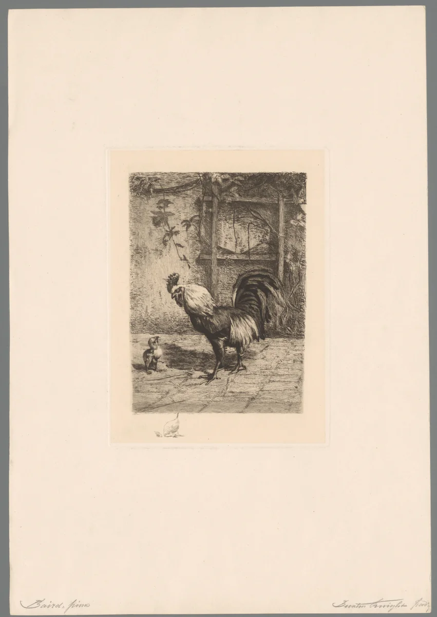 Kuiken bij een grote haan by John Buxton Knight, print, 1853-1883