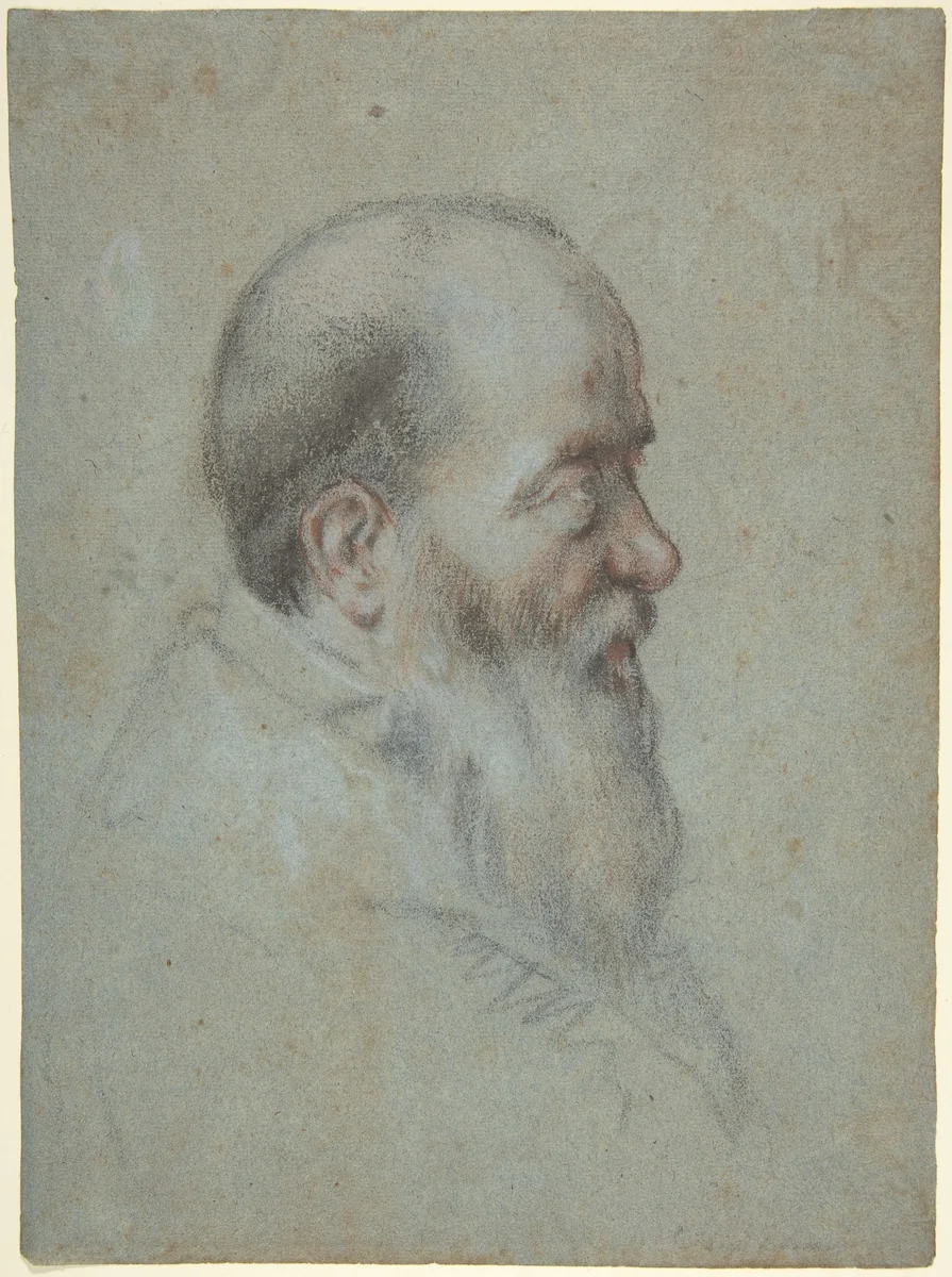 Bust of a Bearded Old Man, Profile to Right by Carletto Caliari, drawing, 1567-1596