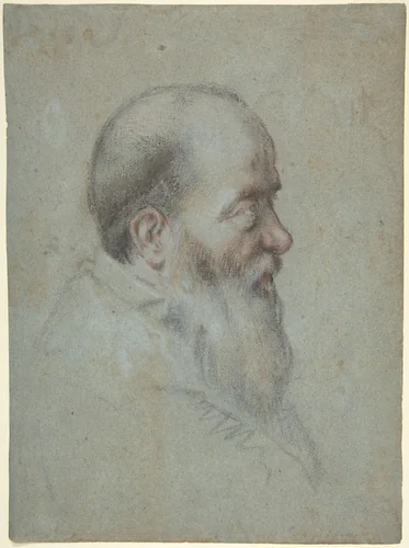 Bust of a Bearded Old Man, Profile to Right by Carletto Caliari, drawing, 1567-1596