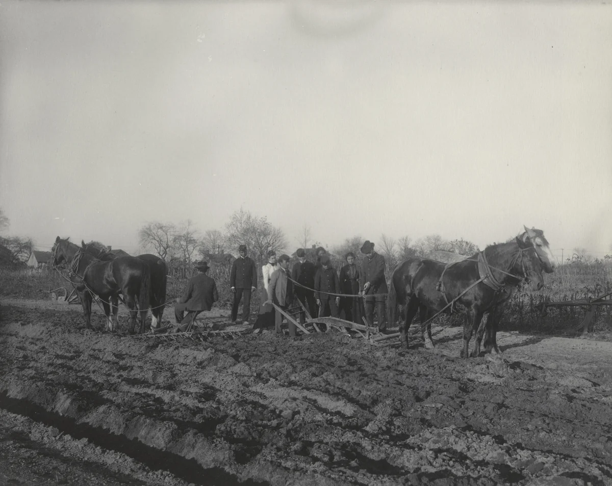 Agriculture. Tillage of the soil by Frances Benjamin Johnston, photograph, 1899