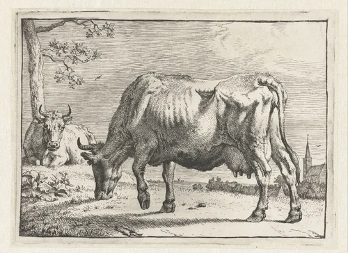Grazende koe by Paulus Potter, print, 1650