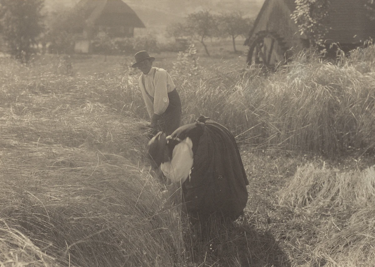 Early Morn by Alfred Stieglitz, photograph, 1894