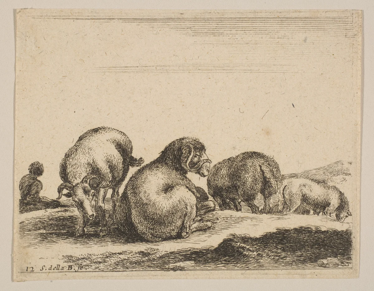 Plate 12: Sheep and ram in a pasture, from "Various animals" (Diversi animali) by Stefano della Bella, print, 1636-1646