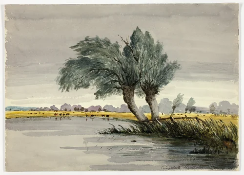 Cringleford Meadows-Morning by Robert Leman, painting, 1800-1899