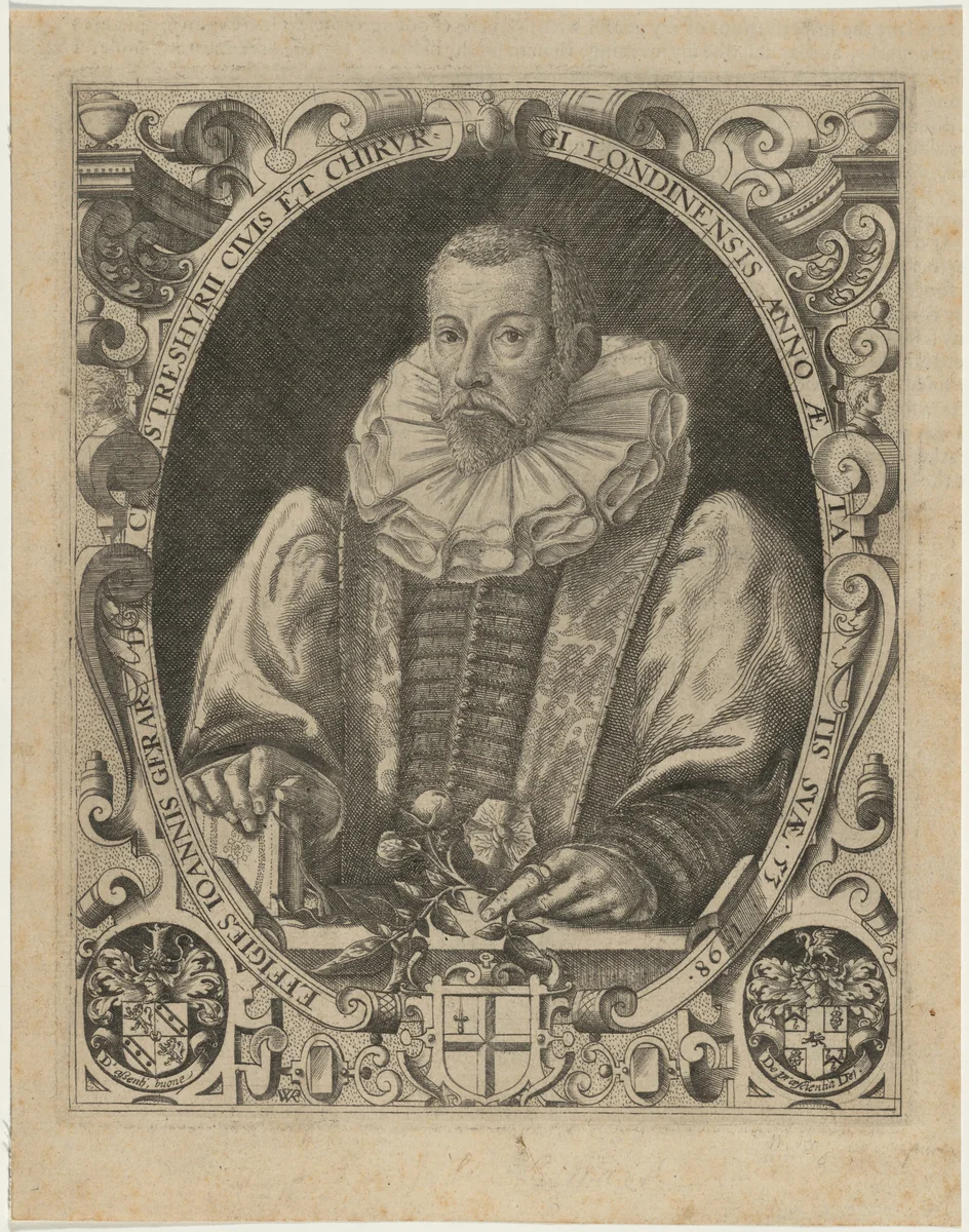John Gerard, Herbalist by William Rogers, print, 1597