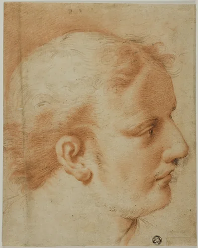 Head of Young Man, in Profile to Right by Benedetto Luti, drawing, 1600-1699