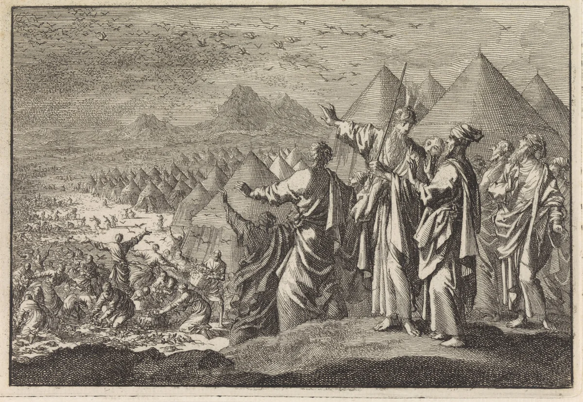 Kwartels in de woestijn by Jan Luyken, print, 1703