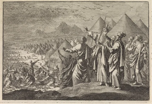 Kwartels in de woestijn by Jan Luyken, print, 1703