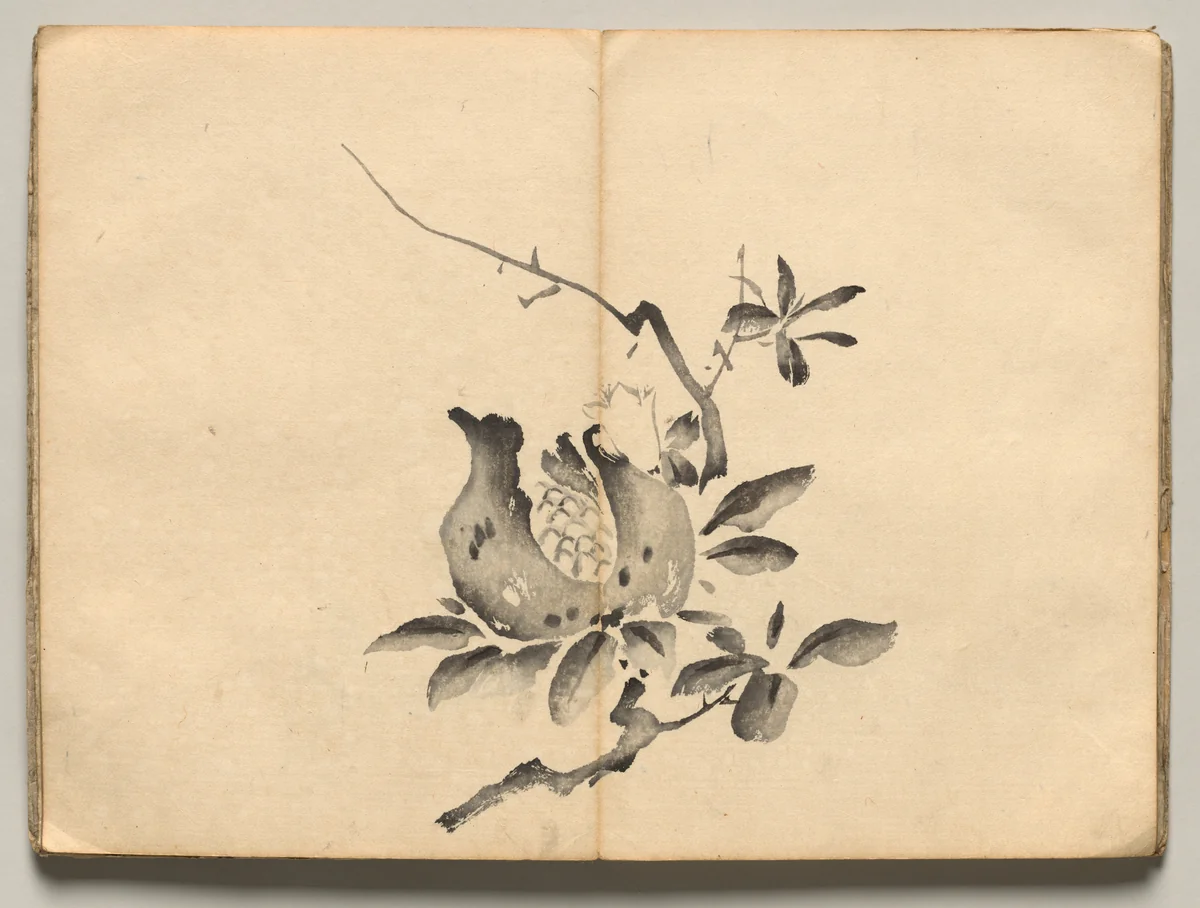 Pomegranate from Ōkyo Picture Book by Maruyama Ōkyo (円山応挙), book, 1850