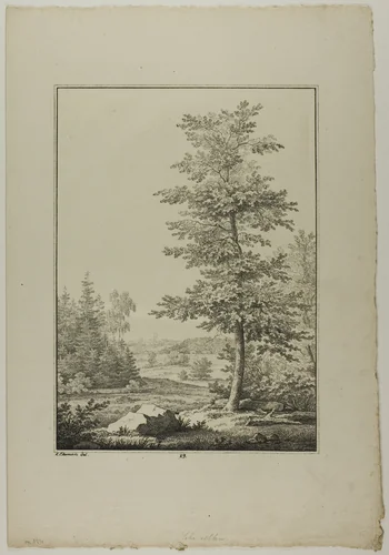Plate 29 from Blatt Baum und Landschafts Studien by Lorenz Ekemann Alesson, print, 1805-1815