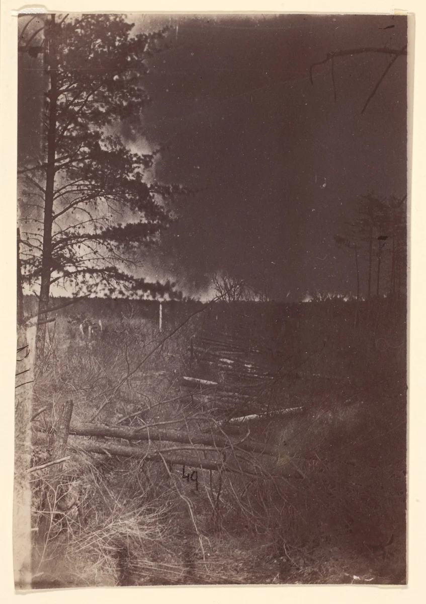 [The Wilderness Battlefield] by G. O. Brown, photograph, 1866