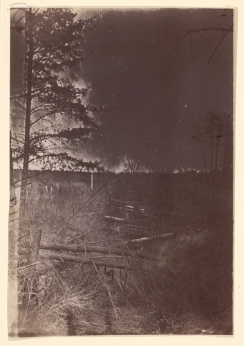 [The Wilderness Battlefield] by G. O. Brown, photograph, 1866