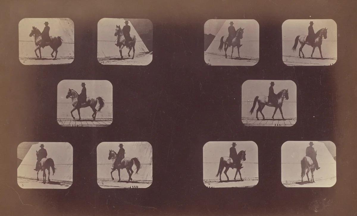 Studies of Foreshortenings. Horses. Walking. Mahomet. Nos. 119-120 by Eadweard Muybridge, photograph, 1879