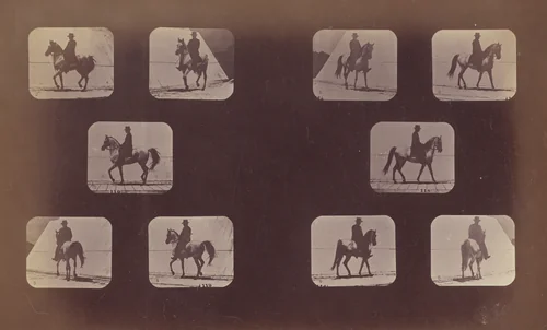 Studies of Foreshortenings. Horses. Walking. Mahomet. Nos. 119-120 by Eadweard Muybridge, photograph, 1879