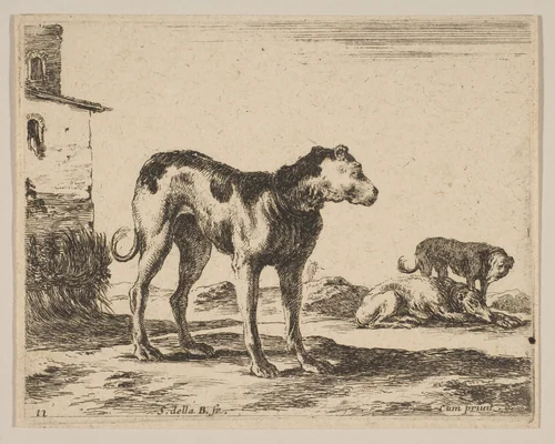 Plate 11: Dogs, from "Various animals" (Diversi animali) by Stefano della Bella, print, 1636-1646