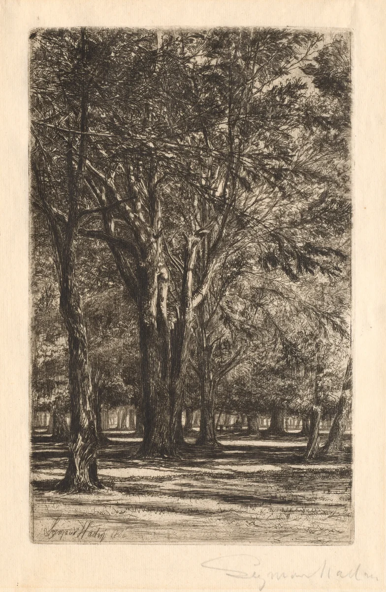 Kensington Gardens, No. 2 (Large Plate) by Francis Seymour-Haden, print, 1860
