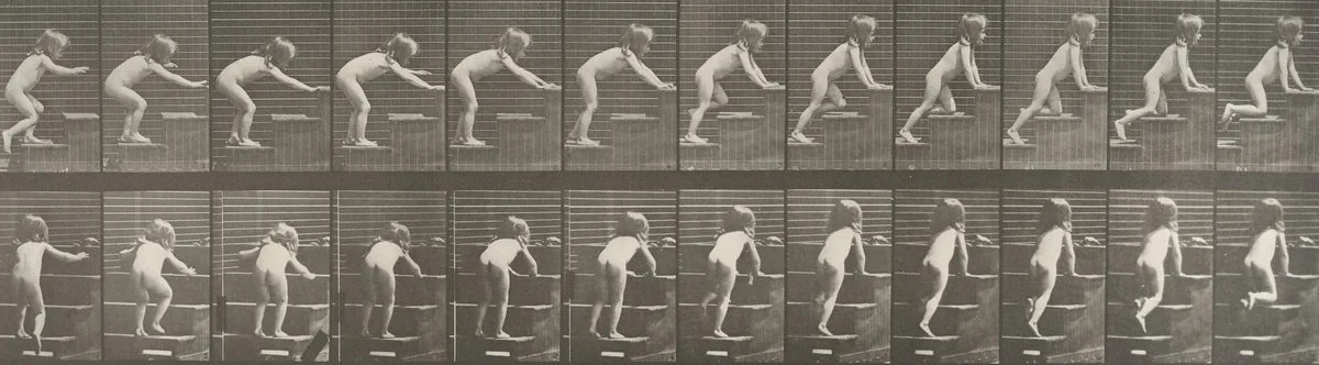 Child Walking and Crawling Up Stairs: Plate 480 from Animal Locomotion (1887 by Eadweard Muybridge, photograph, 1884