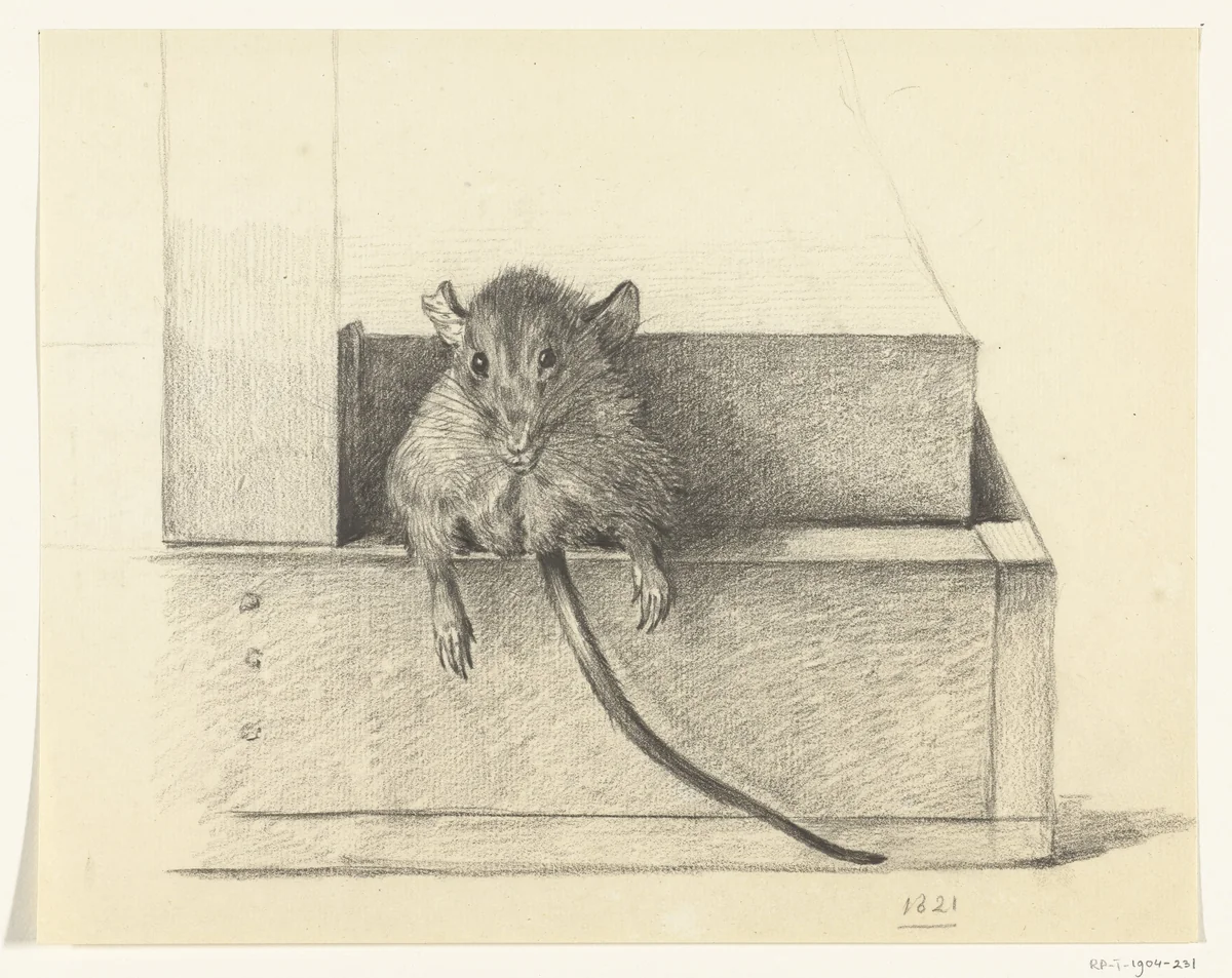 Muis (in een val?) by Jean Bernard, drawing, 1821