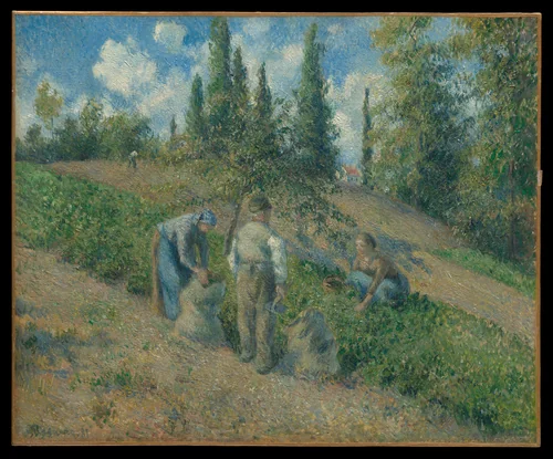 The Harvest, Pontoise (La Récolte, Pontoise) by Camille Pissarro, painting, 1881