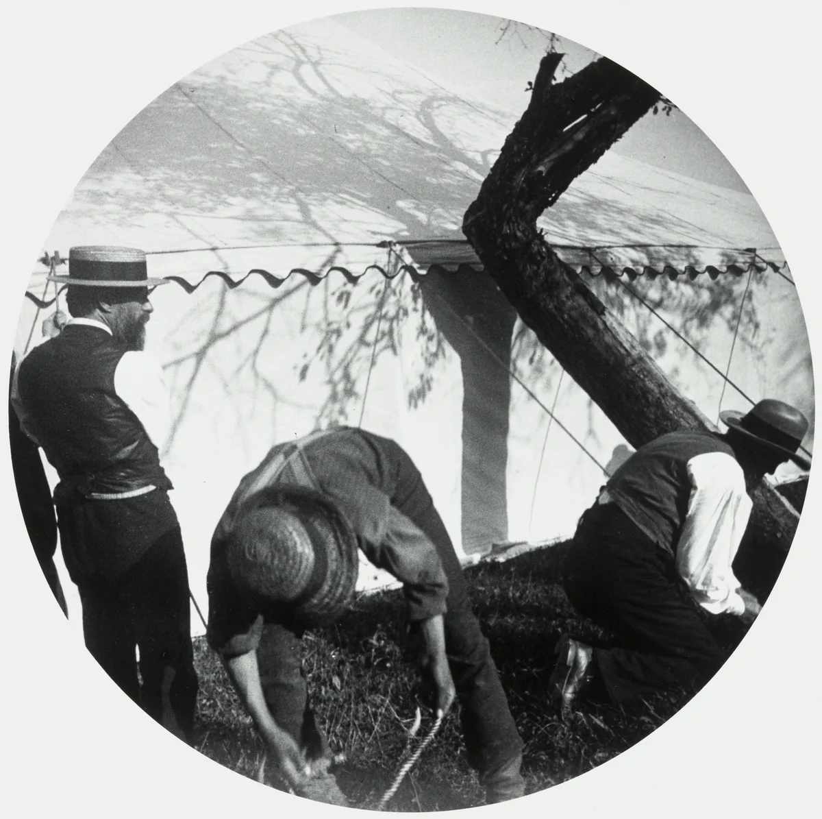 Untitled by Horace M. Engle, photograph, 1888