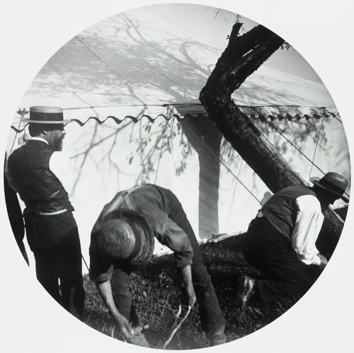 Untitled by Horace M. Engle, photograph, 1888