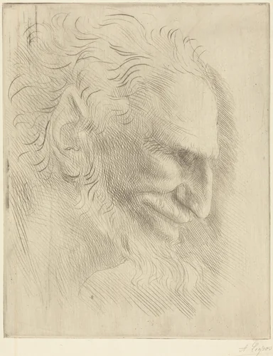 Study for the Head of a Man (Etude de tete d'homme) by Alphonse Legros, print, 1837-1911