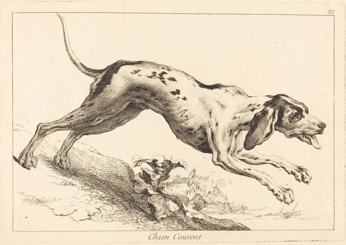 Chien courent (Running Hound) by Jacques-Philippe Le Bas
Jean Eric Rehn
Jean-Baptiste Oudry, print, 1707-1783