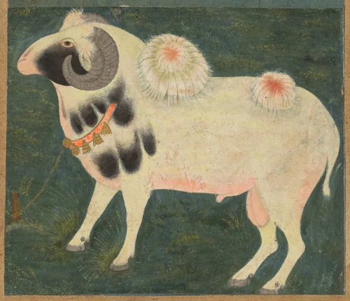 A royal ram with a gold chain by Unknown, painting, 1580-1590