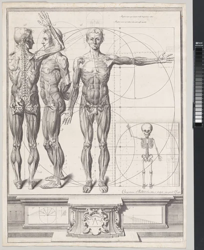 Plate for the ‘Atlas Anatomico’ (unpublished) by Crisóstomo Martínez, print, 1680-1694
