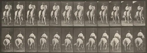 Plate Number 604. "Elberon" trotting, saddled by Eadweard Muybridge, photograph, 1887
