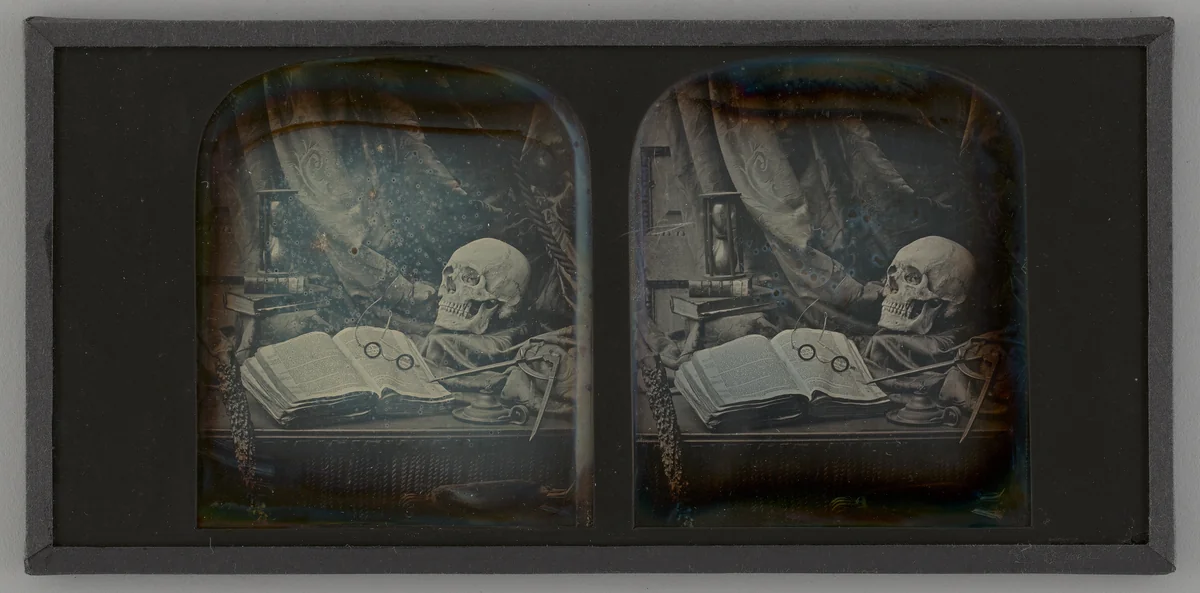 Untitled (Memento Mori Still Life) by T. R. Williams, photograph, 1859