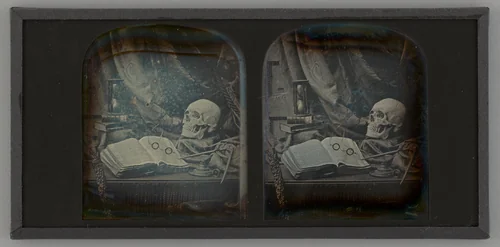 Untitled (Memento Mori Still Life) by T. R. Williams, photograph, 1859
