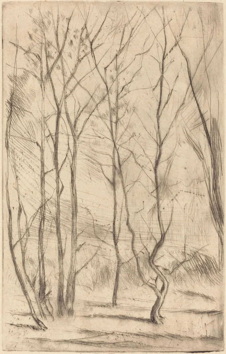 The Dam Wood by James McNeill Whistler, print, 1875